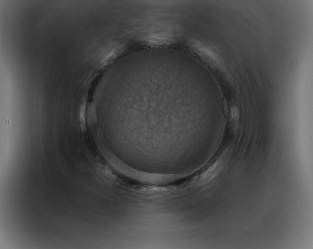 X0000088191300200705221654