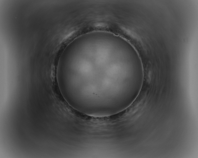 X0000088191301200705221654