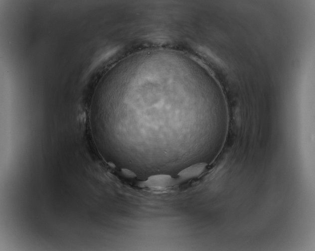 X0000088191302200705221654