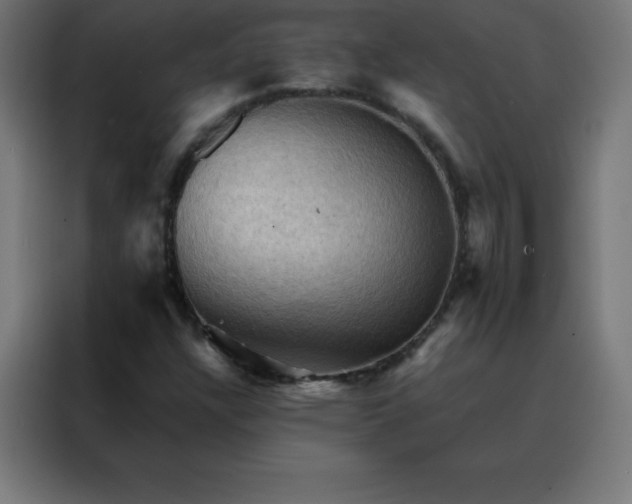 X0000088191304200705221654