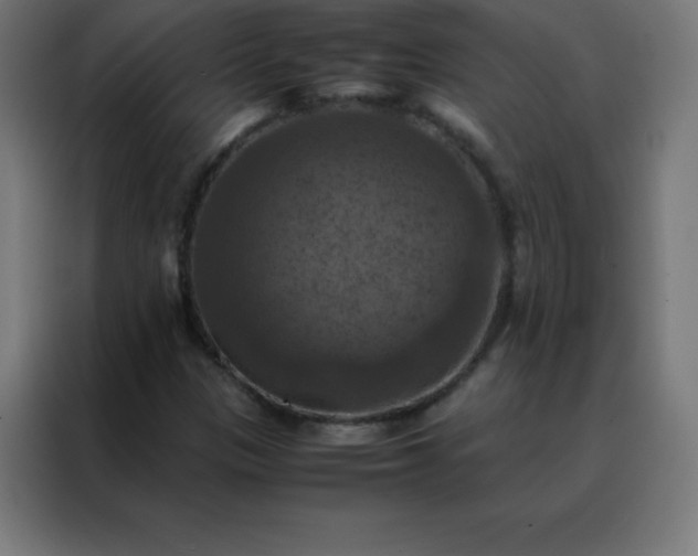X0000088191305200705221654