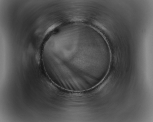 X0000088191306200705221654