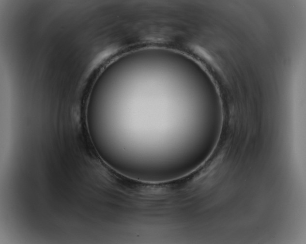 X0000088191307200705221654