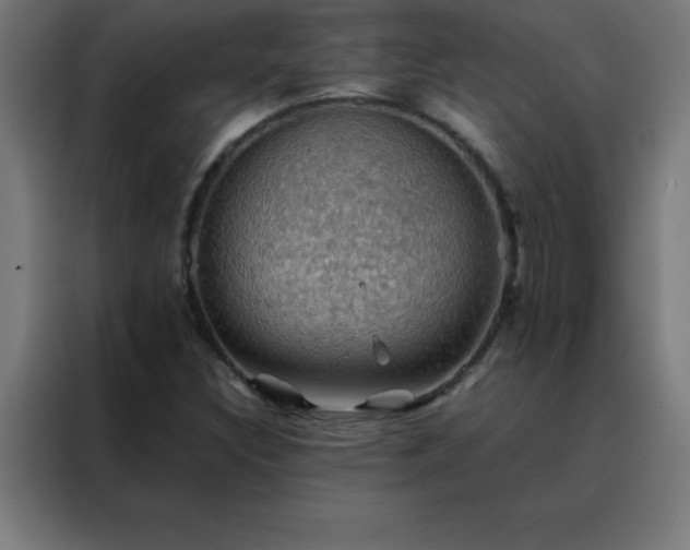 X0000088191308200705221654