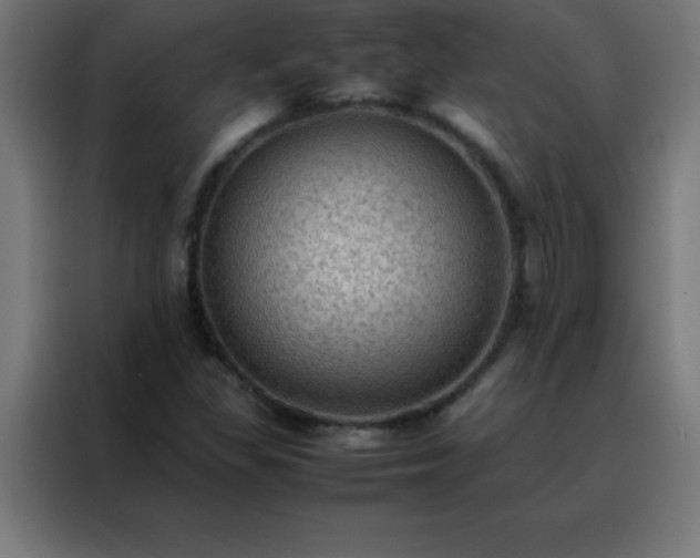 X0000088191309200705221654