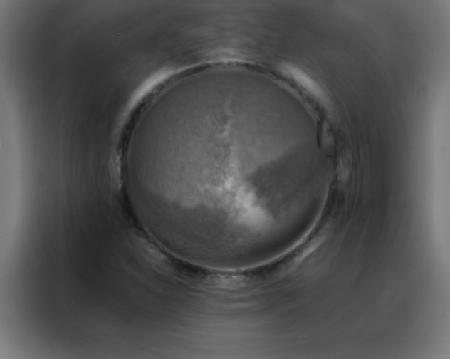 X0000088191310200705221654