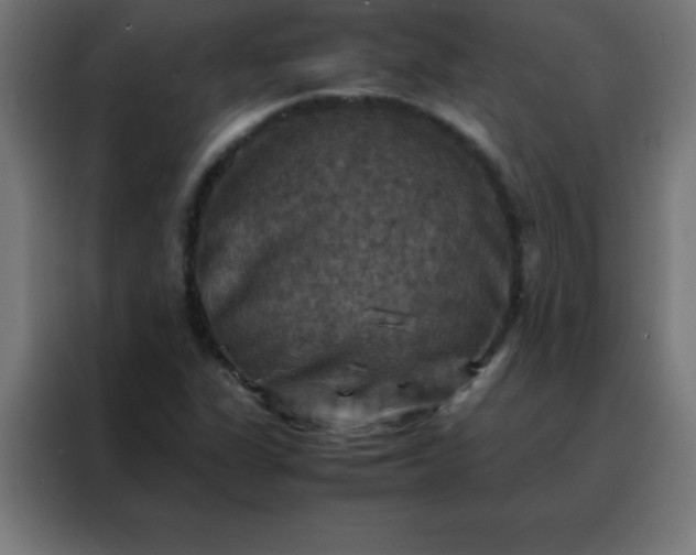 X0000088191311200705221654