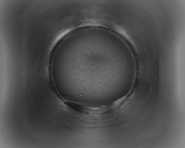X0000088191312200705221654