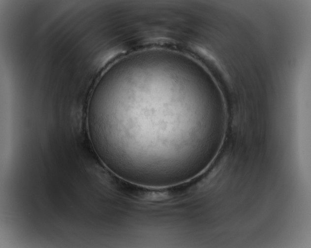 X0000088191313200705221654