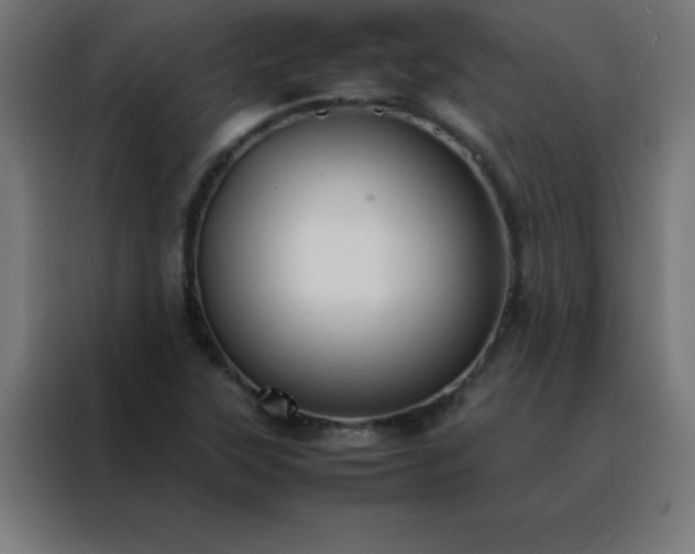 X0000088191315200705221654