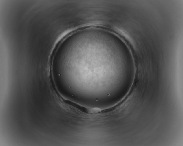 X0000088191316200705221654