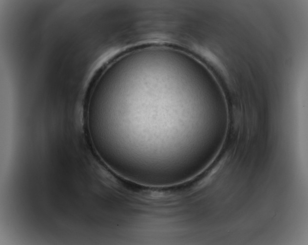 X0000088191318200705221654
