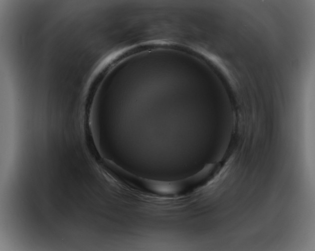 X0000088191319200705221654