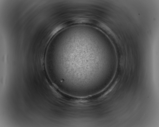X0000088191321200705221654