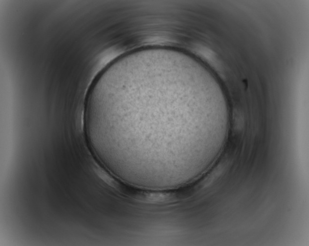 X0000088191322200705221654