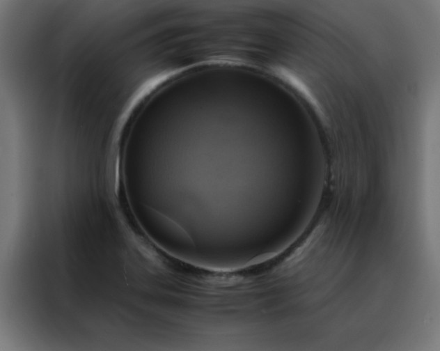 X0000088191323200705221654