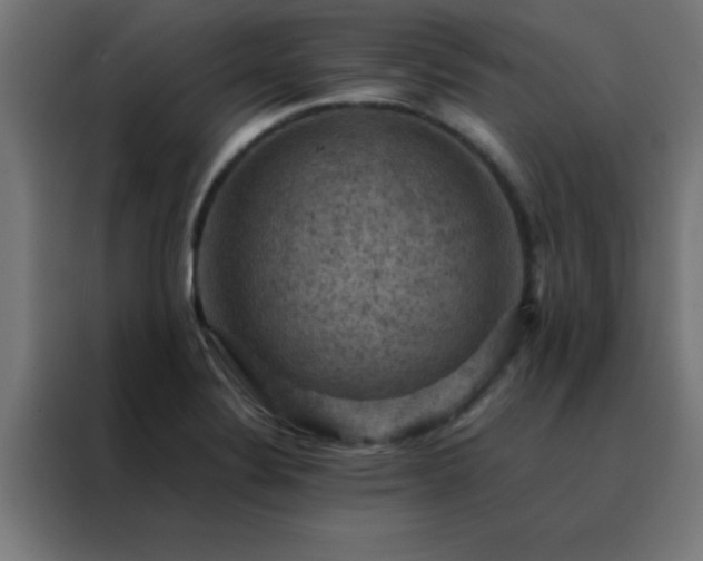 X0000088191324200705221654