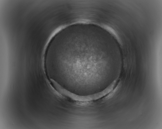 X0000088191326200705221654