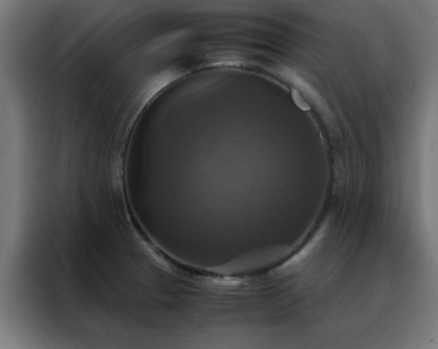 X0000088191329200705221654