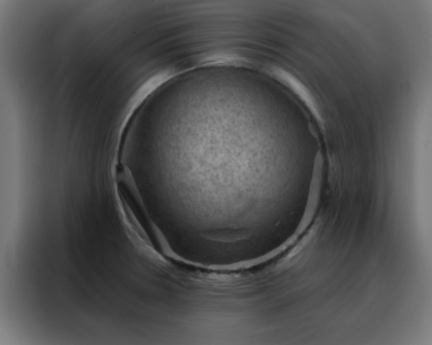 X0000088191330200705221654