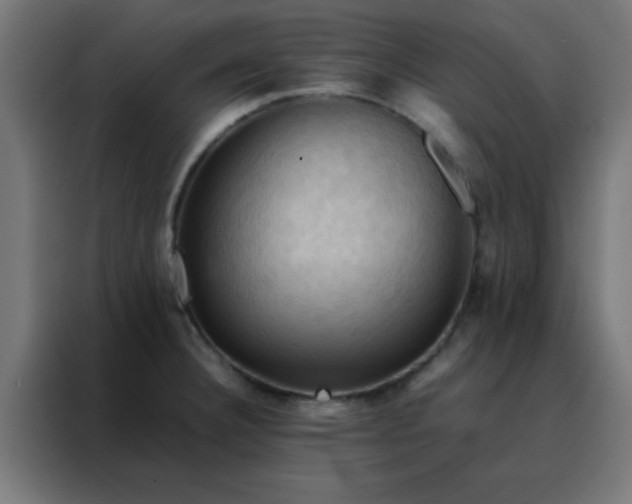 X0000088191332200705221654