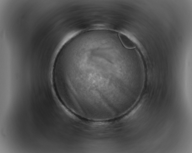 X0000088191333200705221654
