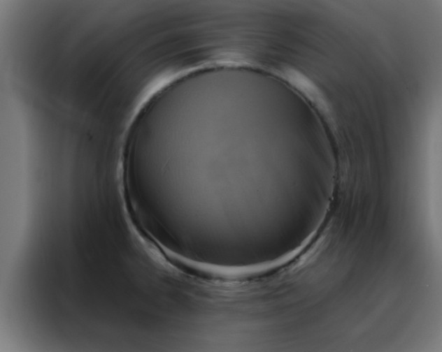 X0000088191334200705221654
