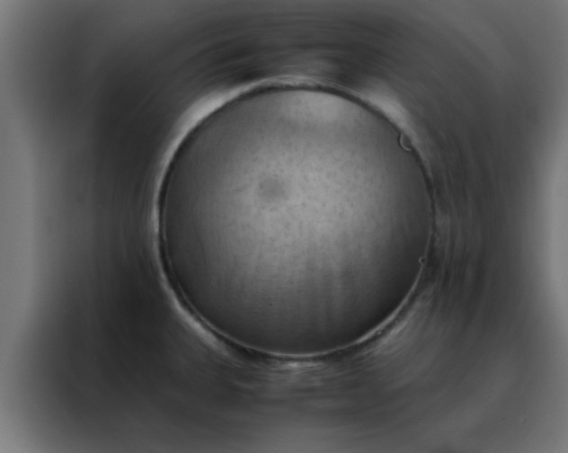 X0000088191335200705221654