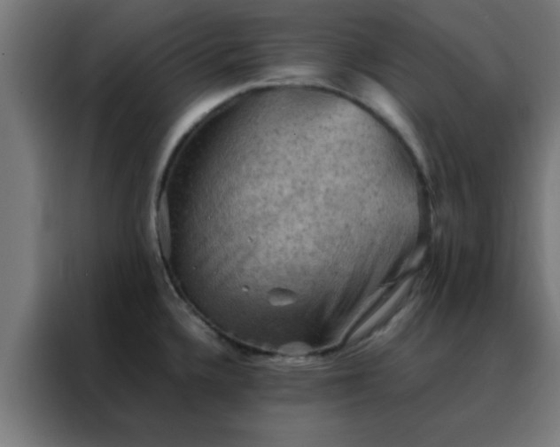 X0000088191336200705221654