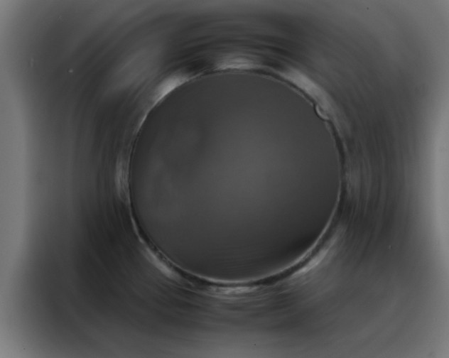 X0000088191337200705221654