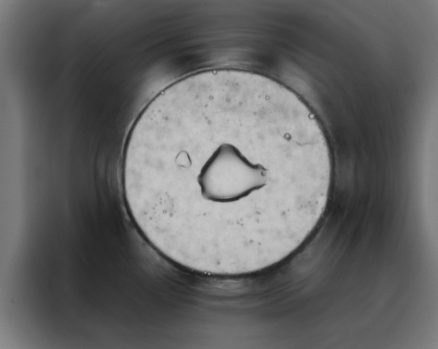 X0000088191338200705221655