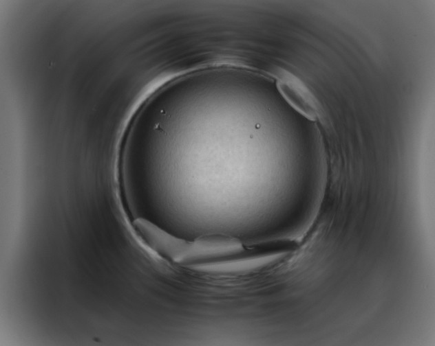 X0000088191339200705221655