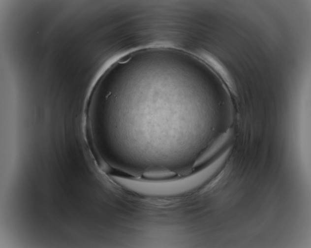 X0000088191340200705221655