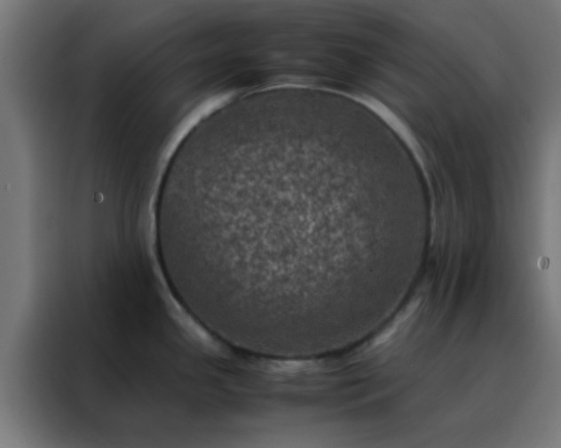 X0000088191341200705221655