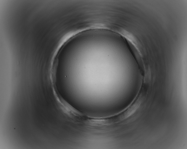 X0000088191342200705221655