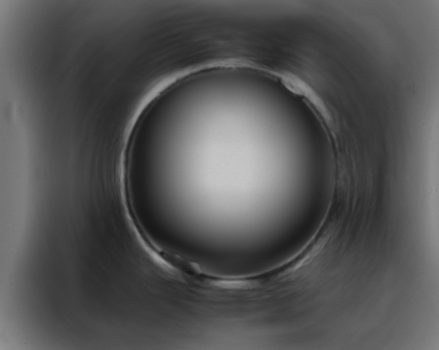 X0000088191343200705221655