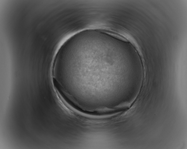 X0000088191344200705221655