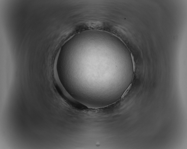 X0000088191345200705221654