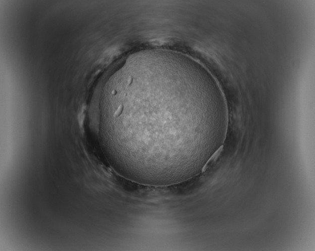 X0000088191349200705221654