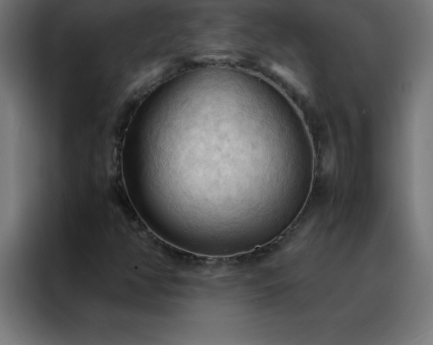 X0000088191350200705221654