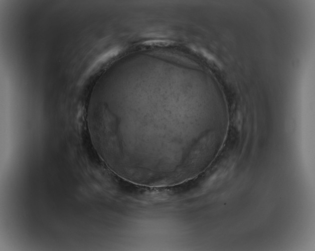 X0000088191351200705221654