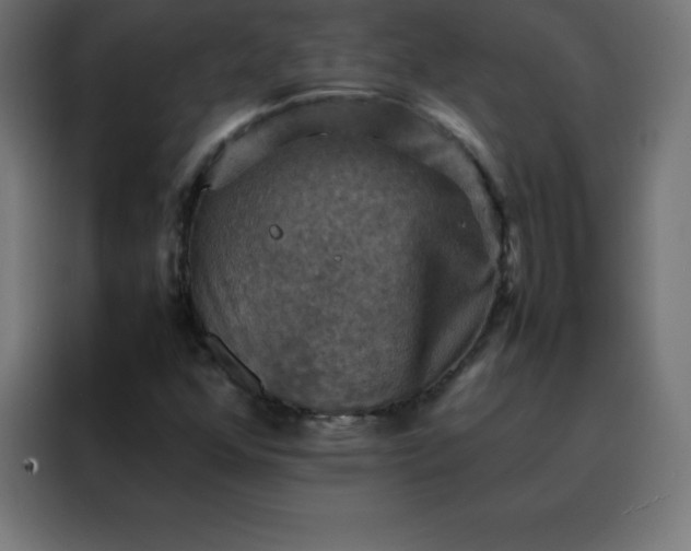 X0000088191352200705221654