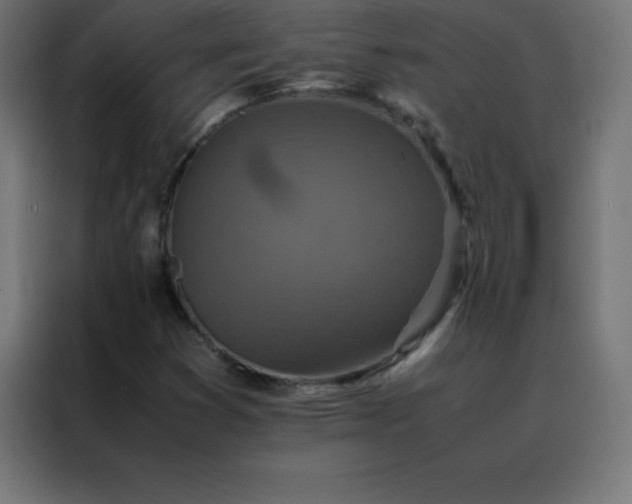 X0000088191353200705221654