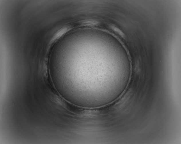 X0000088191354200705221654
