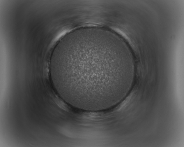 X0000088191355200705221654