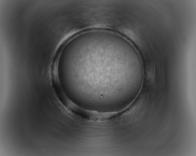 X0000088191356200705221654