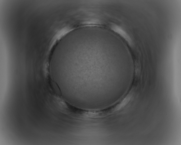 X0000088191357200705221654