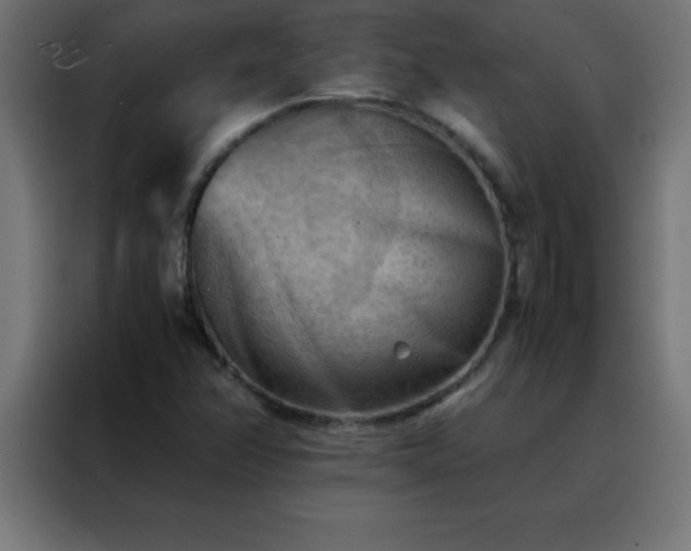 X0000088191358200705221654