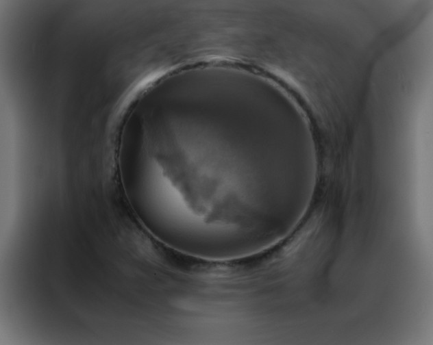 X0000088191359200705221654