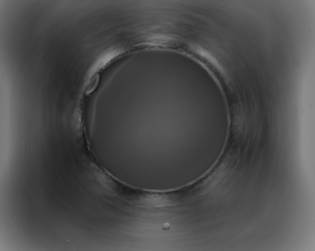 X0000088191362200705221654